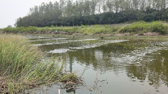 我司鹽城東臺養殖尾水處置項目成功試運行并獲市領導高度認可